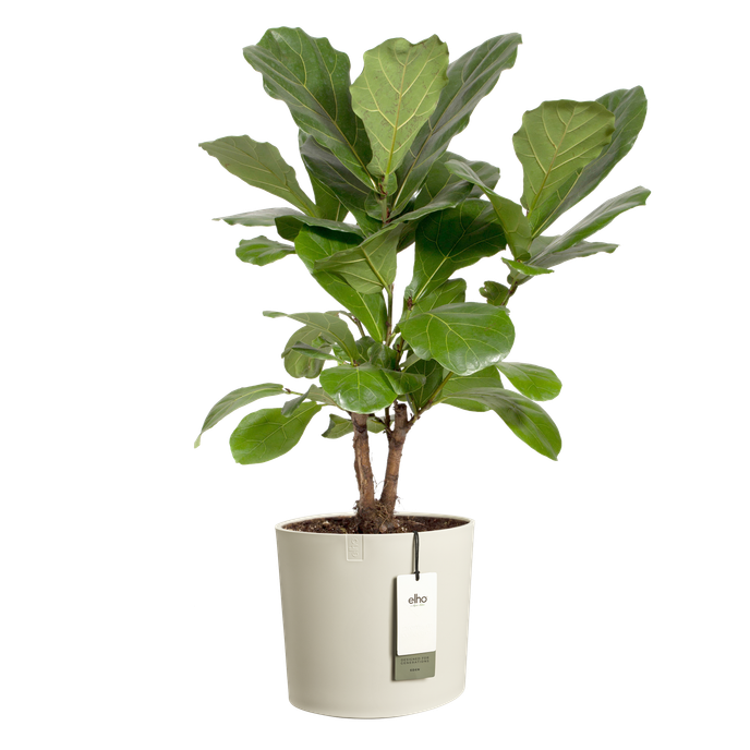 eden 30cm blanco lino